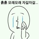 도안동물병원 이미지