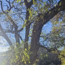 청길강변로 이미지