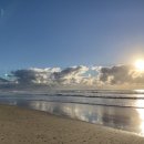 브리즈번 이미지