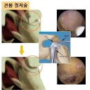 연세견우정형외과의원 이미지