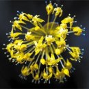 길목축산 이미지