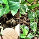 여름곤충 탐구생활 이미지