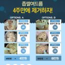 드아본 이미지