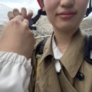 하동코리아짚와이어 이미지