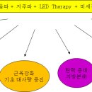 엔라이프 이미지