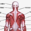 가수원휘트니스헬스 이미지