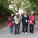 거창스포츠파크 이미지