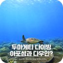 수성교 남동쪽 교통섬 | 두마게티 스쿠버다이빙 다우인과 아포섬 다이빙 포인트 어디가 좋을까?