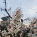하늘바다상회
