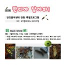 반딧불이 생태학교 이미지