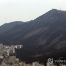 장산