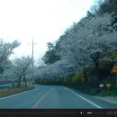 삼순이네 - 세종특별자치시 | 삼순이네