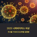 망성금지보건진료소 | 2025 니파바이러스 비상: 치사율 75% 초고위험 감염병 대응과 증상 분석