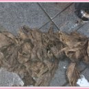 노원-현장-1366 이미지