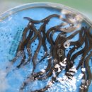 삼화수산 이미지