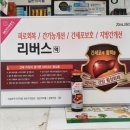 민트약국 이미지