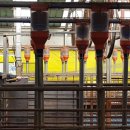 와이지바이오 이미지