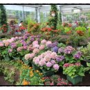 제주가든 이미지