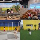 여우야CAFE | 천안아산 아이와 가볼 만한 곳 '해피애니멀'| 실내 동물원+야외 테라스+카페+키즈 놀이터까지 알찬 공간