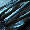 김판수과메기 이미지