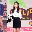 애니멀즈 이미지