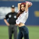 앨리스 핏 이미지