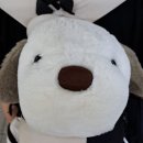 영화와 함께하는 인문학(B반) | 마루와 함께하는 대전 여행 븨로그_♡ (๑•̀ᴗ-)˚₊·—̳͟͞͞♥
