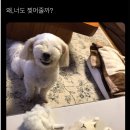 와와피씨방 이미지