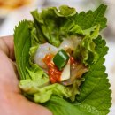 영광센터-5 이미지