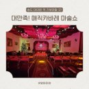 송도 아이랑 가볼만한 곳 추천! 7세 아이도 푹 빠진 매직카바레 공연 후기