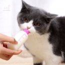 도리 쇼핑하우