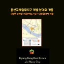 (공동)국제공인중개사사무소 이미지