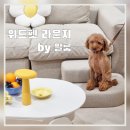 펫라운지(PET LOUNGE) 이미지