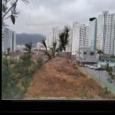 필림37.2 이미지