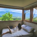 노고마주 이미지