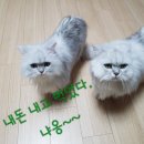 예가참치 이미지