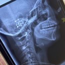 하트성형외과의원 이미지