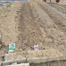 내대리 농장 이미지