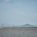 화성 제부모세마을 Daum카페