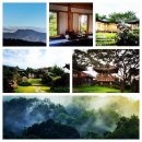 금선에너지 이미지