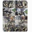 대박낚시터 이미지