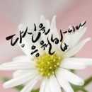 행복한하루 이미지