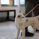 진수동물병원 이미지