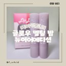 글로시 팩토리 | 데일리립밤 추천 더마팩토리 글로우 멜팅 밤 뉴이어에디션 한정 출시 젤리광 컬러립밤