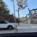숲결1