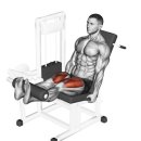 피트니스 더 클럽 이미지