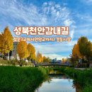 감내길 네이버블로그