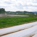 김병석공인중개사사무소 이미지