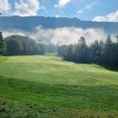 용평리조트 대중골프장 | 강원도 명문 골프장 용평버치힐 CC ㅣ 코스부터 후기까지!