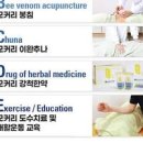척주전문병원 선택 기준 척추뼈 교정 추나요법 허리디스크 통증 치료 이미지
